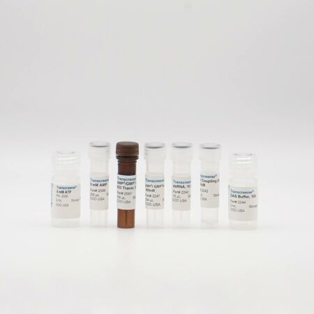 Transcreener dAMP Exonuclease Assay Kits